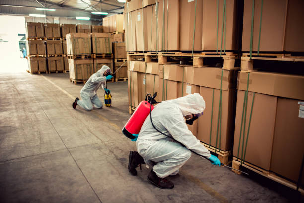Best Commercial Pest Control Services  in Llington, MI