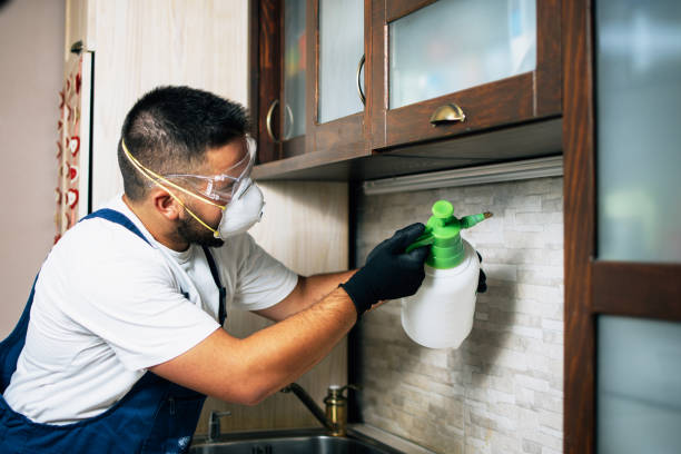 Insect Control in Millington, MI