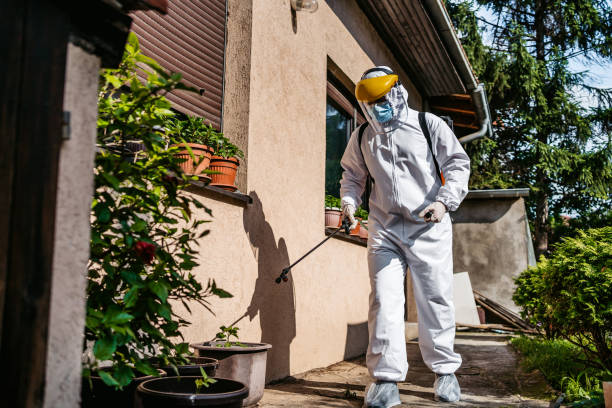 Best Rodent Control Near Me  in Llington, MI