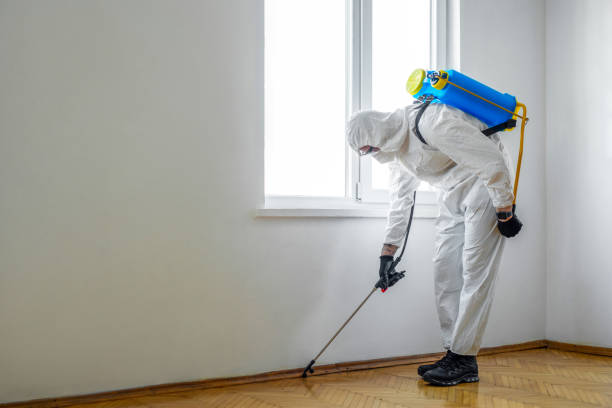 Best Flea Control Services  in Llington, MI