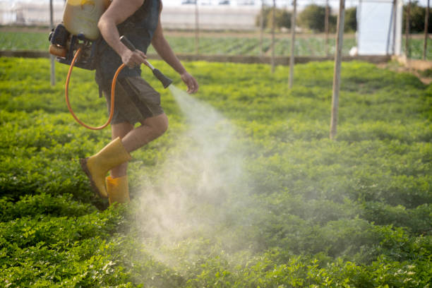 Best Pest Inspection Near Me  in Llington, MI
