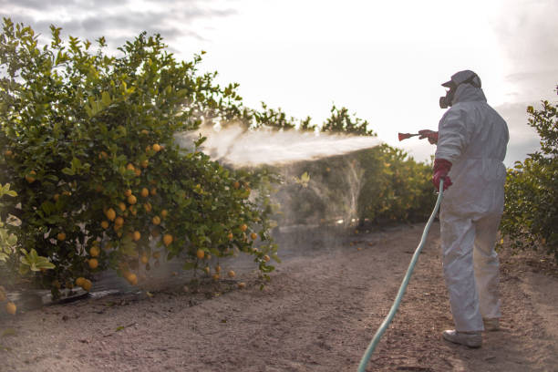 Reliable Millington, MI Pest Control Solutions
