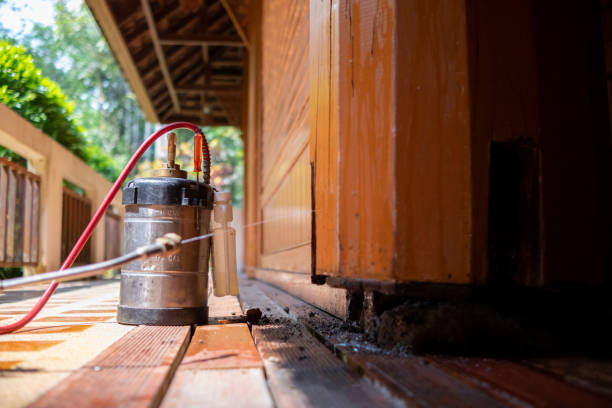 Best Affordable Pest Control Services  in Llington, MI