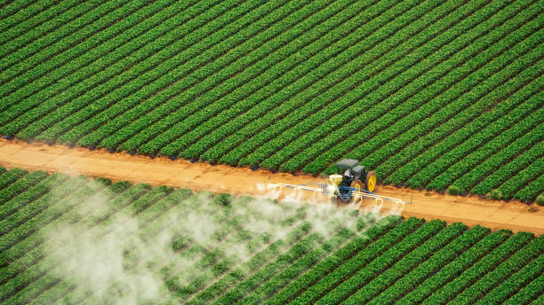 Best Mosquito Control Services  in Llington, MI