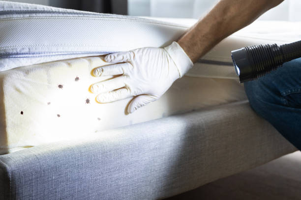 Best Pest Inspection Near Me  in Llington, MI