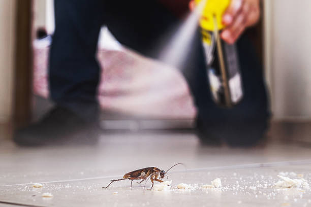 Best Cockroach Control Services  in Llington, MI