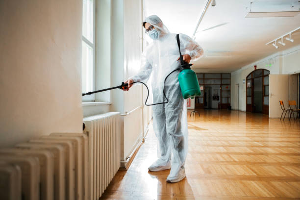 Best Insect Control  in Llington, MI