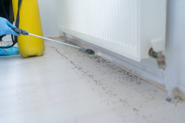 Best Best Pest Control Companies  in Llington, MI