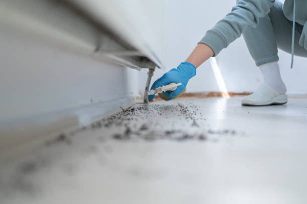 Best Pest Prevention Services  in Llington, MI